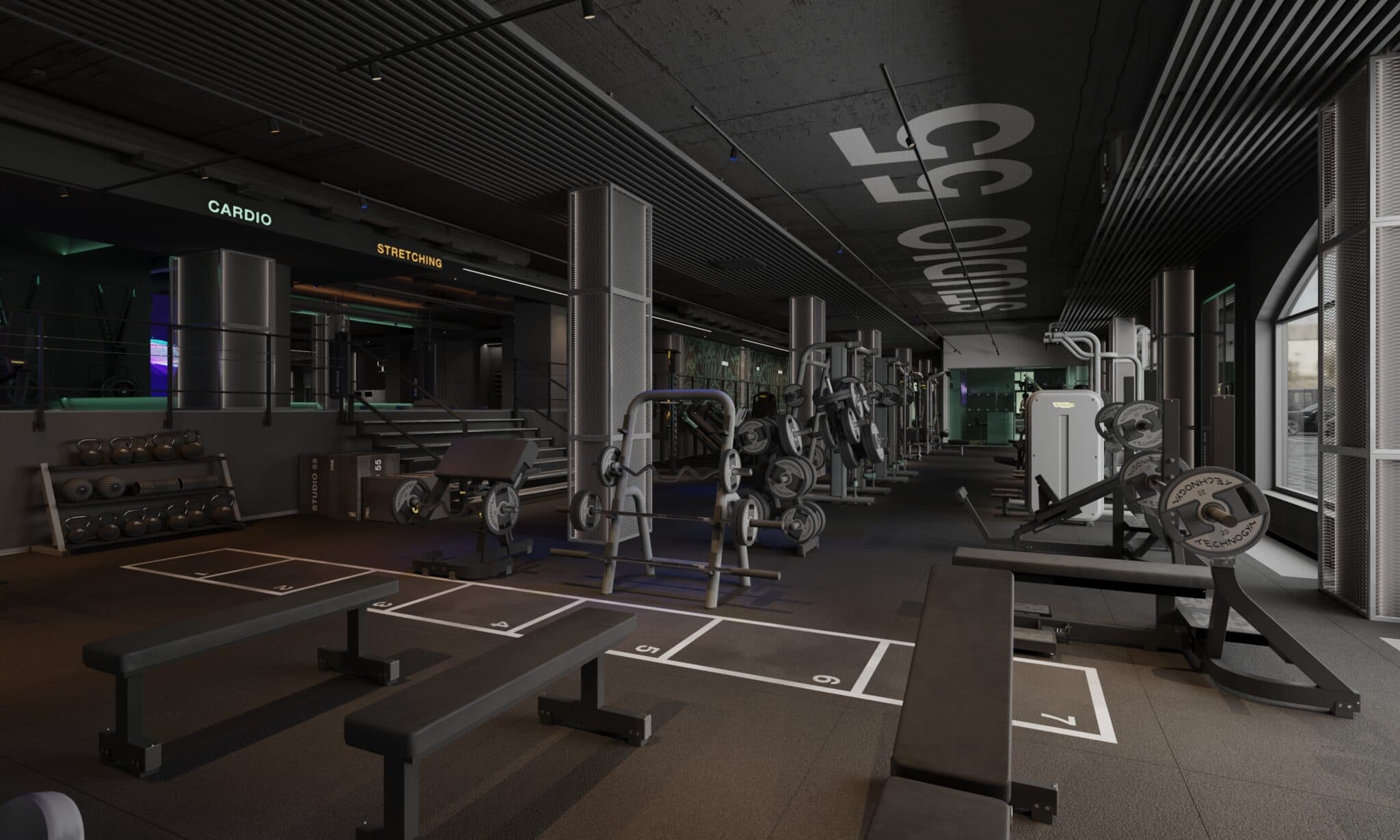 THE GYM